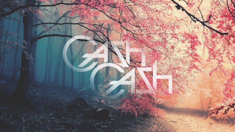 Forest with Pink Leaves