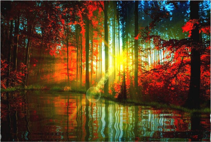 Forest with Pond at Sunrise