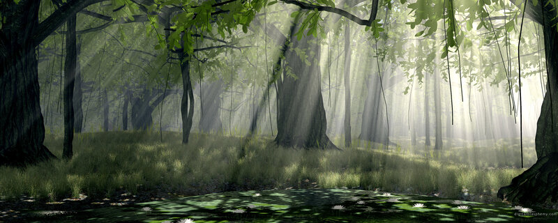 Forest with Pond