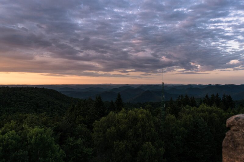 Forest with Radio Tower
