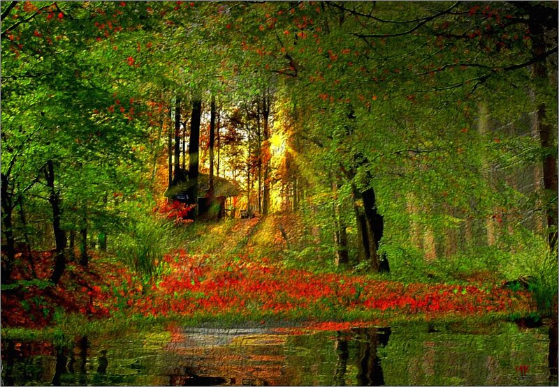 Forest with Red Flowers — Green