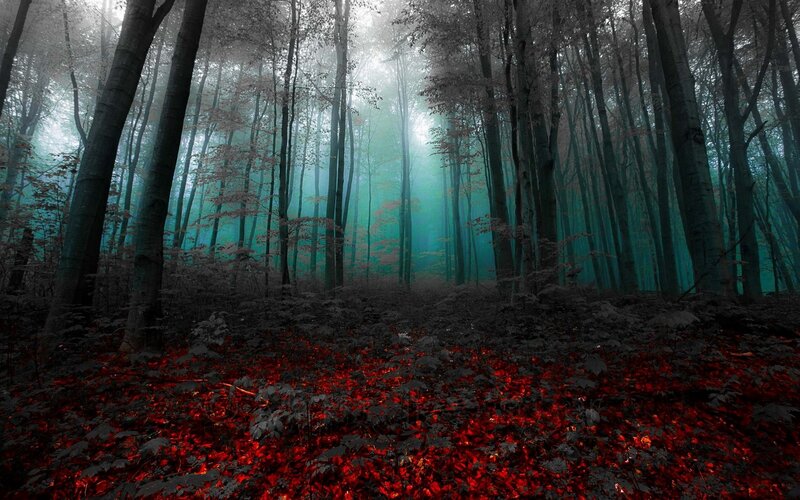 Forest with Red Leaves — Mysterious, Autumn, Digital Art