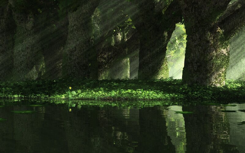 Forest with River