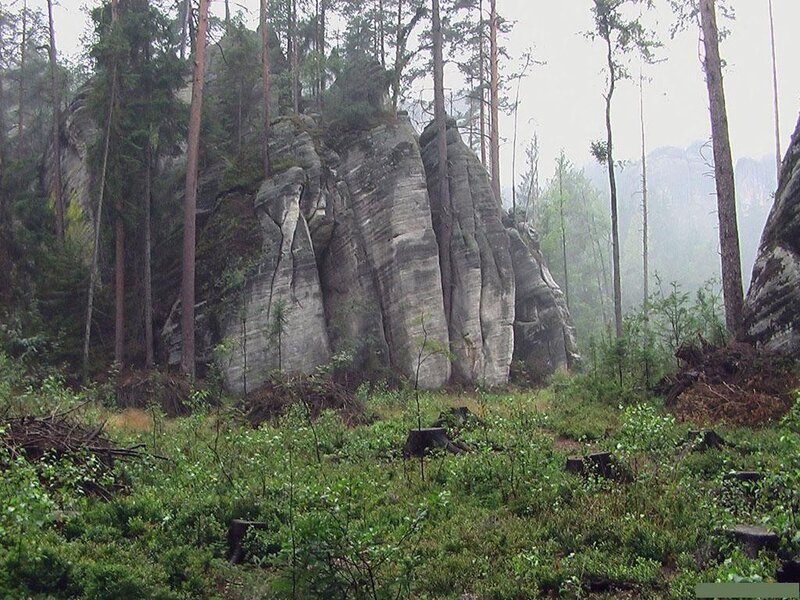 Forest with rock formations