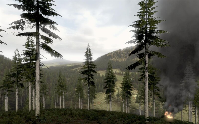 Forest with smoke and fire