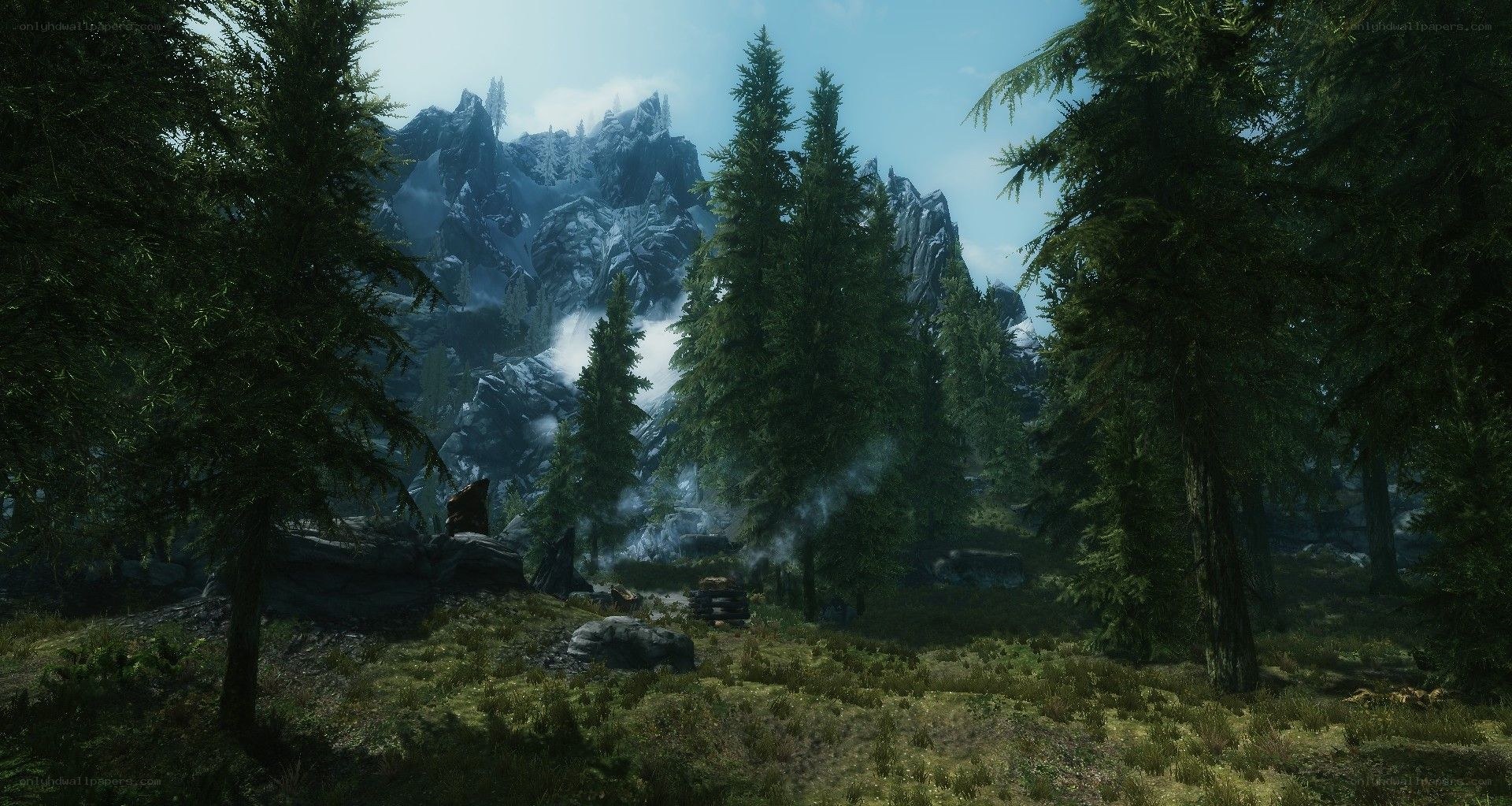 forest with snowy mountains