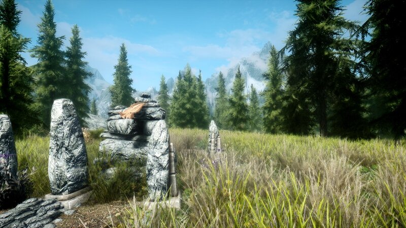 forest with stone markers