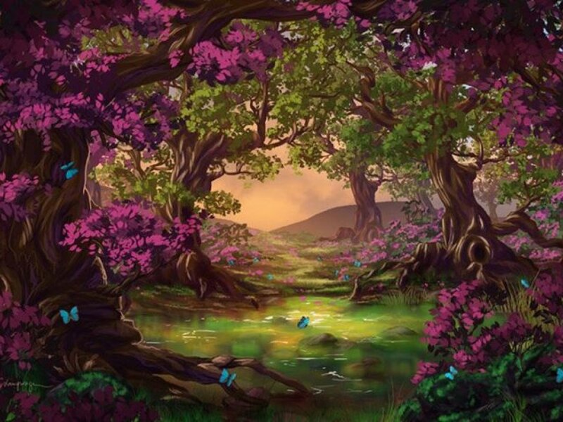 Forest with Stream