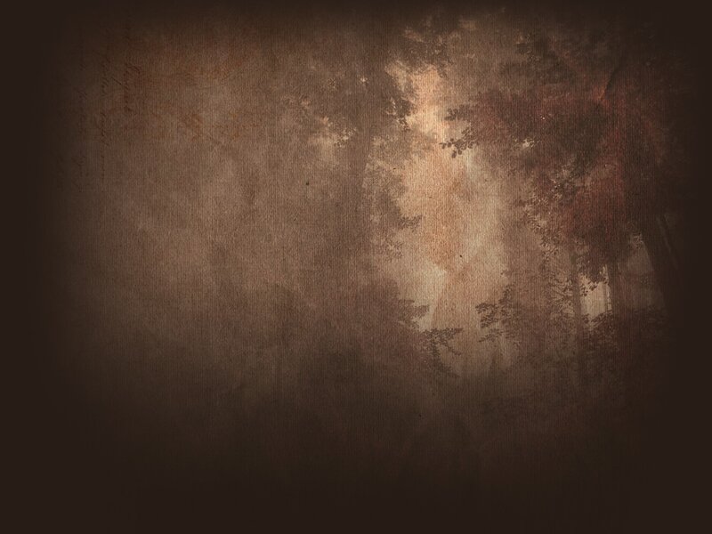 Forest with Sunlight — Brown, Dramatic