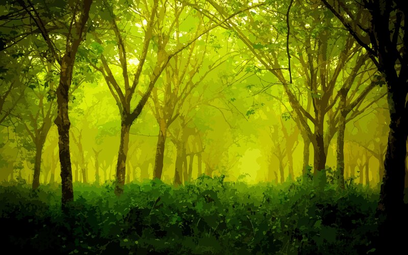 Forest with Sunlight — Green, Serene, Morning, Digital Art