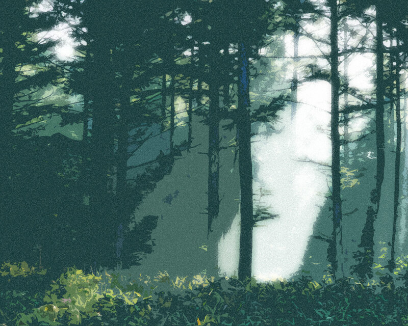 Forest with Sunlight — Green, Serene, Morning, Digital Art, Trees, Foliage