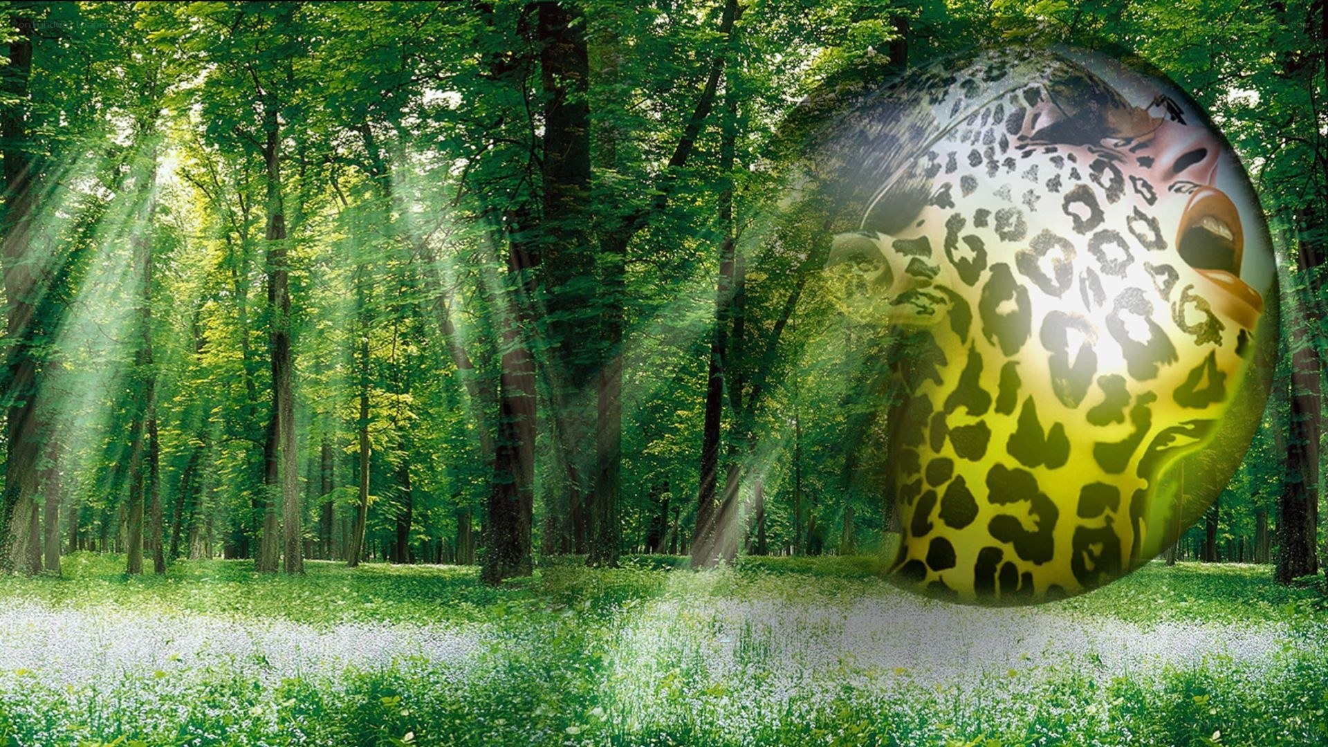 forest with surreal sphere