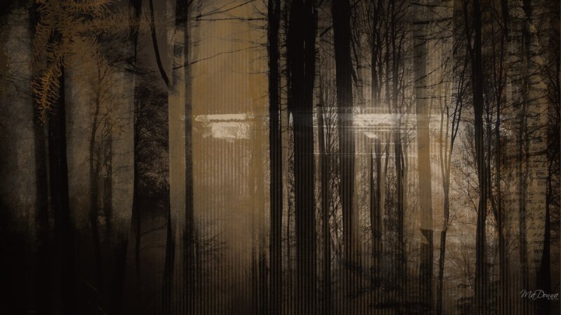 Forest with Tall Trees — Brown, Mysterious