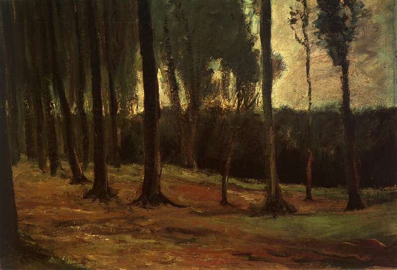 Forest with Tall Trees — Brown, Serene