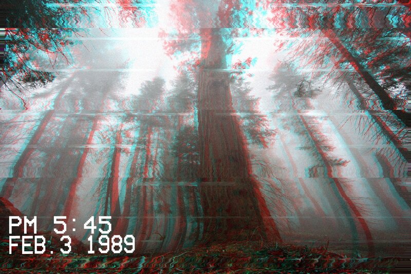 Forest with Tall Trees — Red, Dreamy