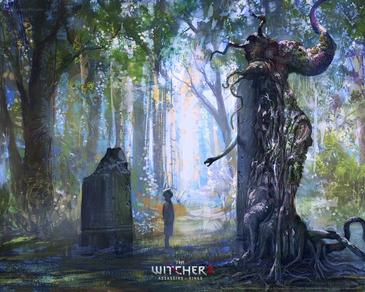 forest with tree spirit