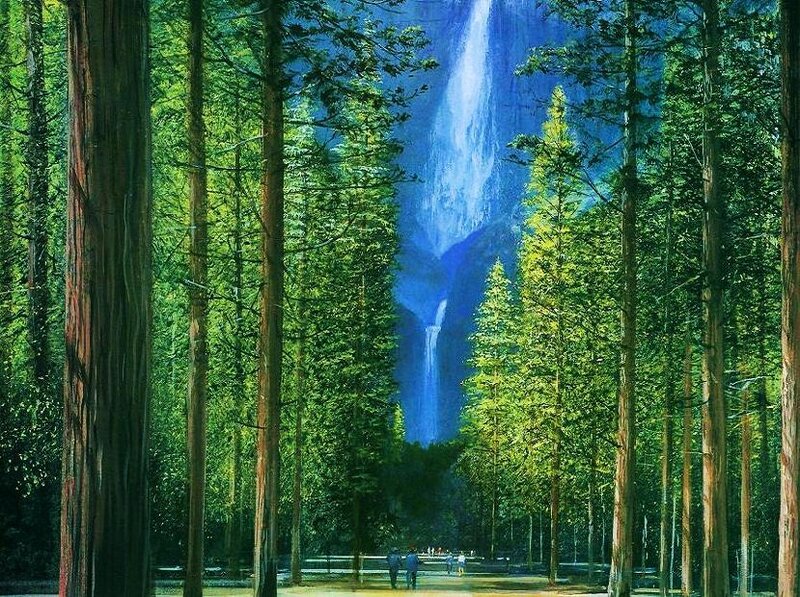 Forest with waterfall