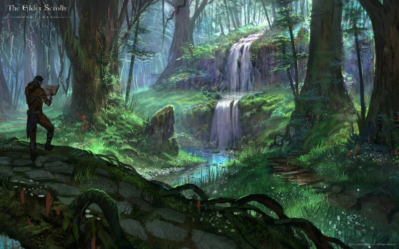forest with waterfall