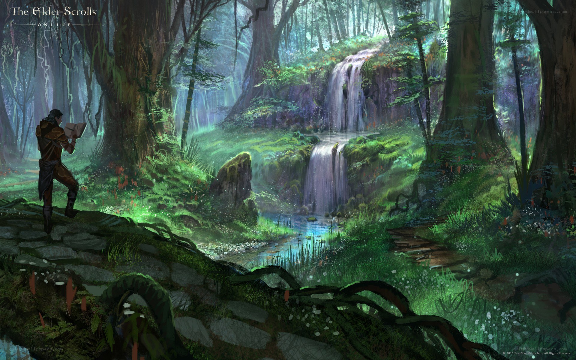 forest with waterfall