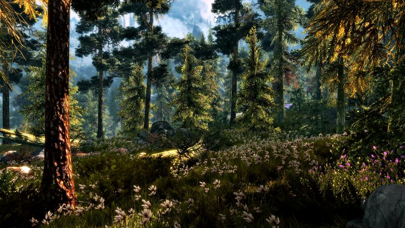 Forest with Wildflowers — Green, Serene, Afternoon