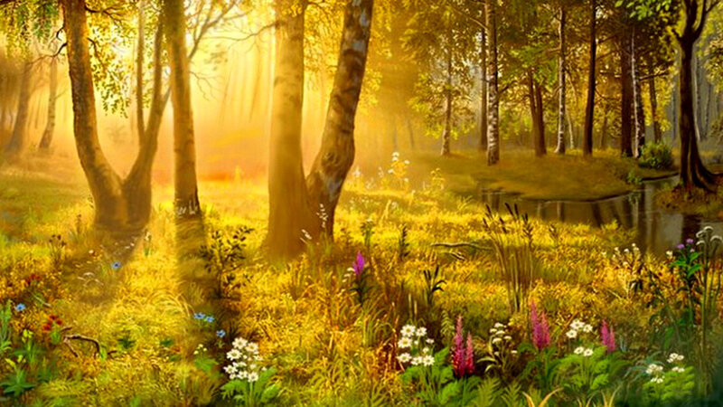 Forest with Wildflowers — Yellow