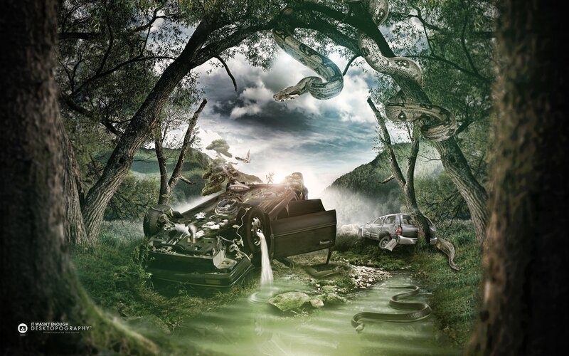 Forest with wrecked cars and snakes