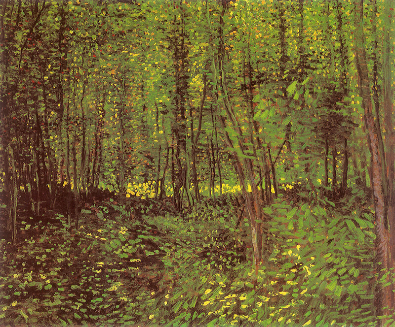 Forest with Yellow Flowers
