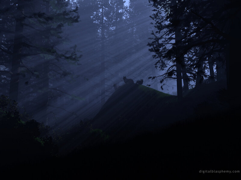 Forest wolves at dawn
