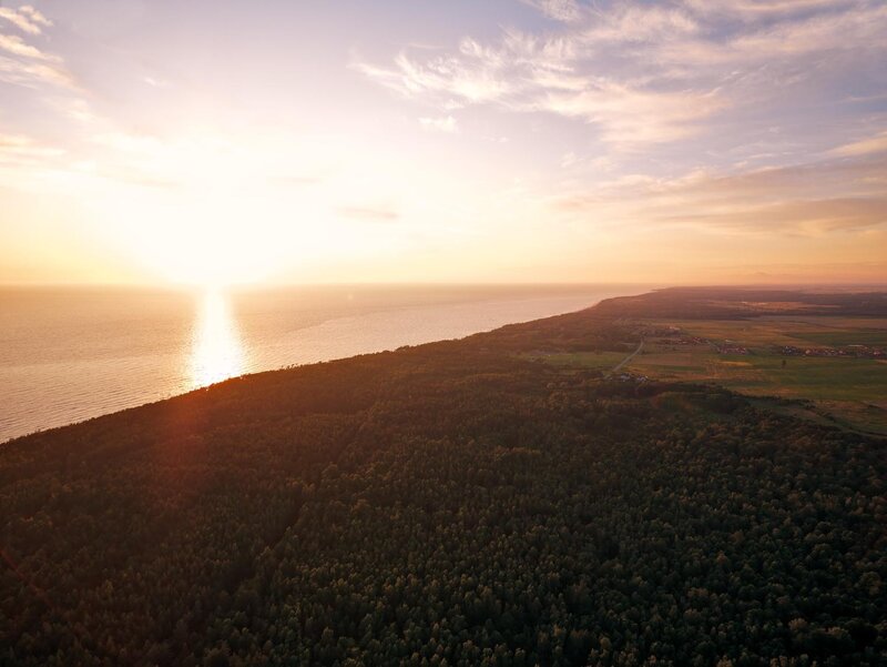Forested Coastline at Sunset