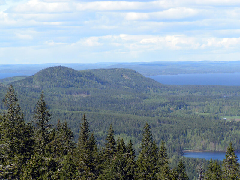 Forested Hills and Lake