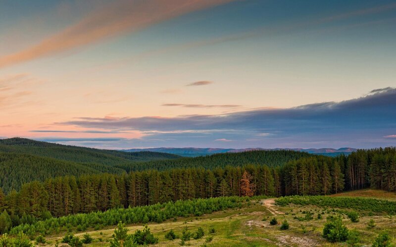 Forested Hills at Dusk