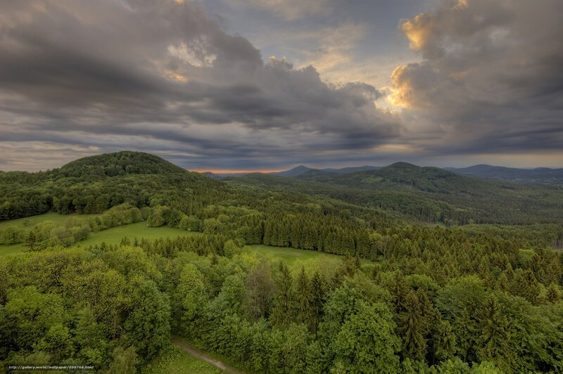 Forested Hills Landscape — Green