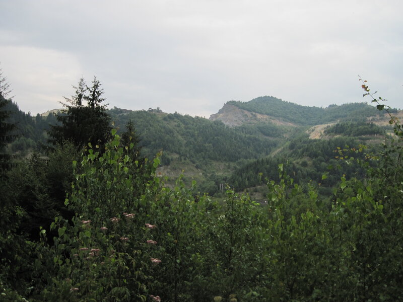 Forested Hills Landscape