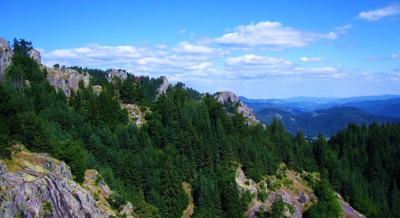 Forested Mountain Landscape