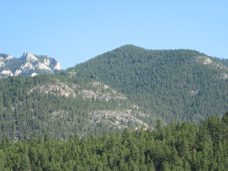 Forested Mountain Range