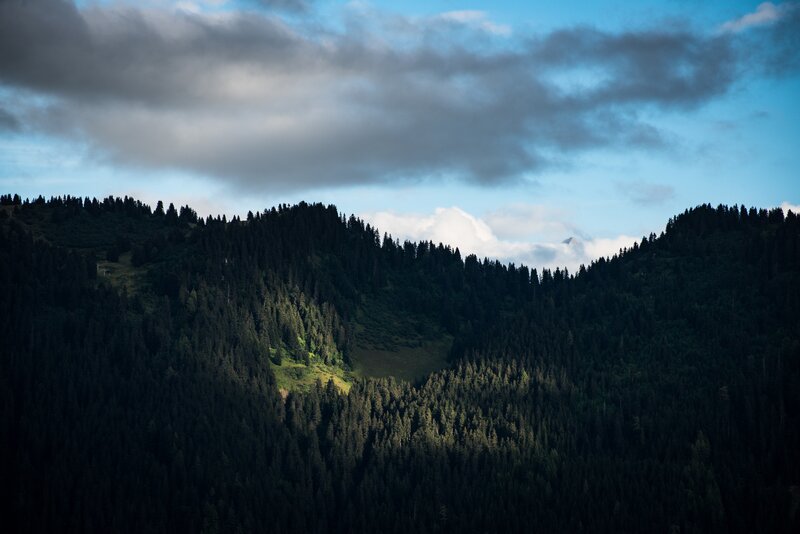 Forested Mountain Valley — Green