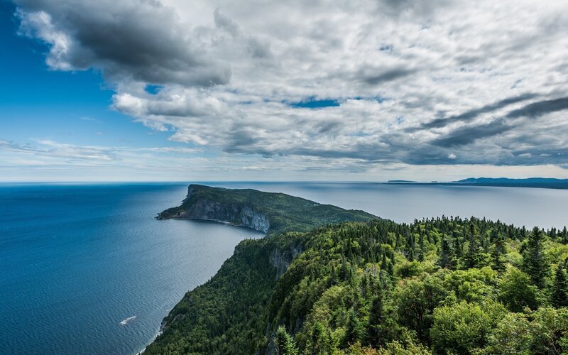 Forested Peninsula Coastline