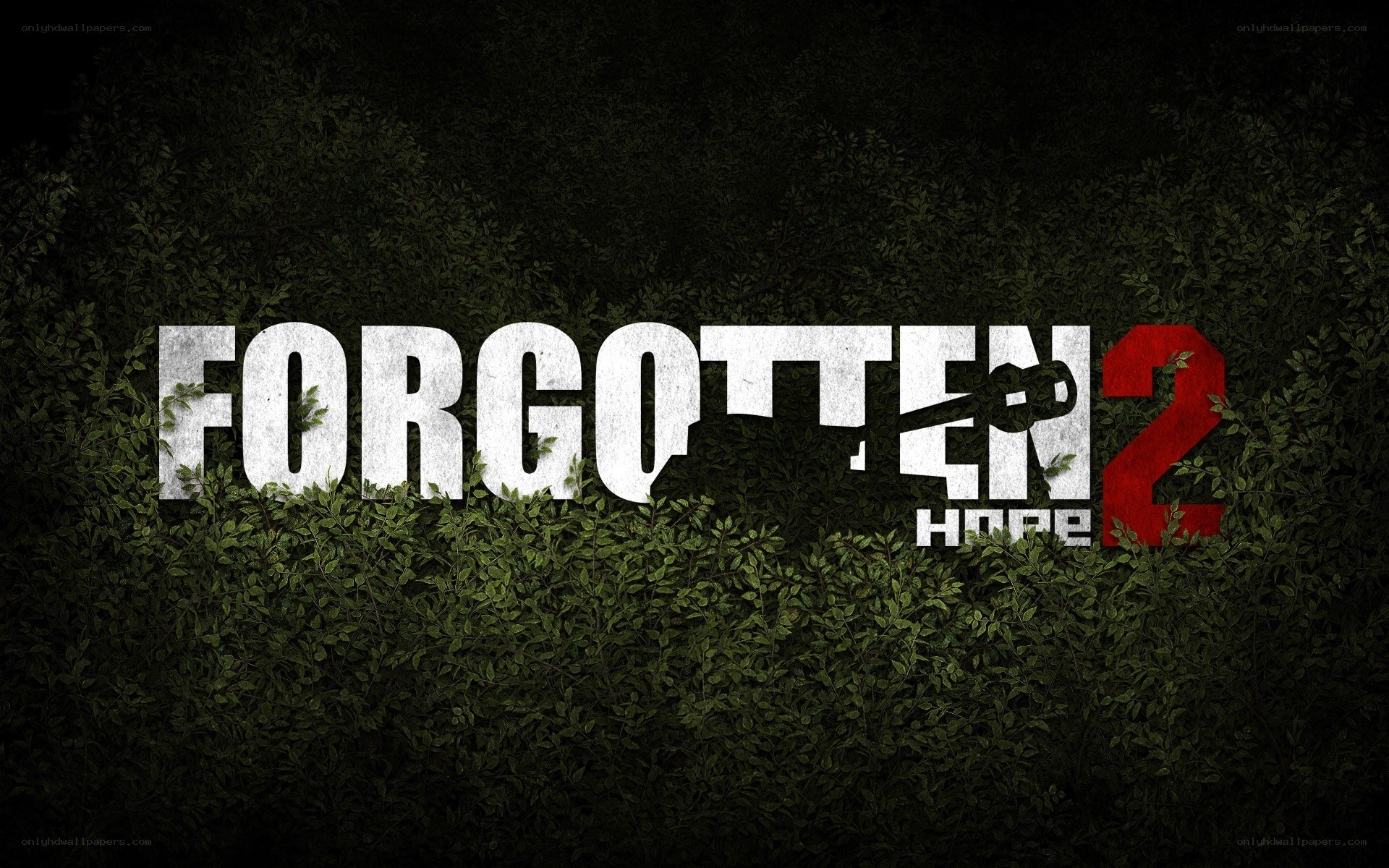 Forgotten Hope 2 logo