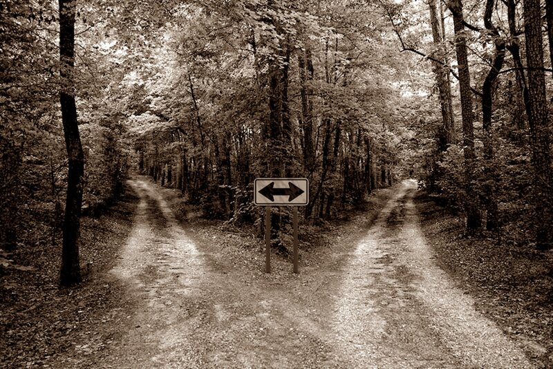 Fork in Forest Path — Brown