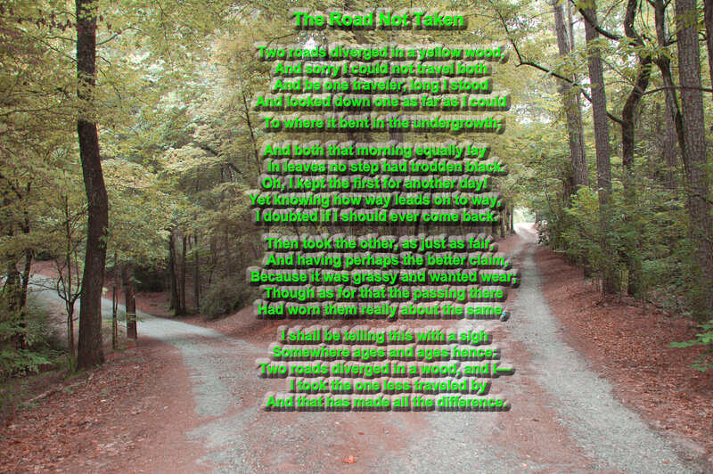 Fork in Forest Path