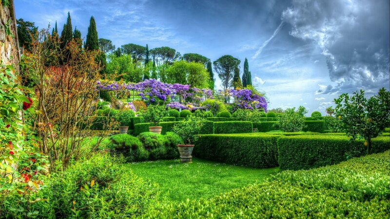 Formal Garden with Hedges — Green, Dramatic, Afternoon, Photograph