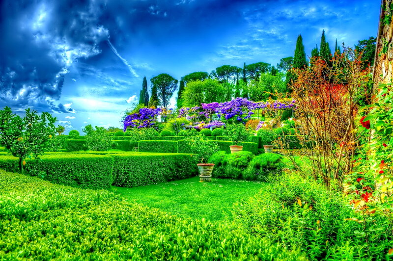 Formal Garden with Hedges — Green, Dramatic, Afternoon, Photograph, Trees