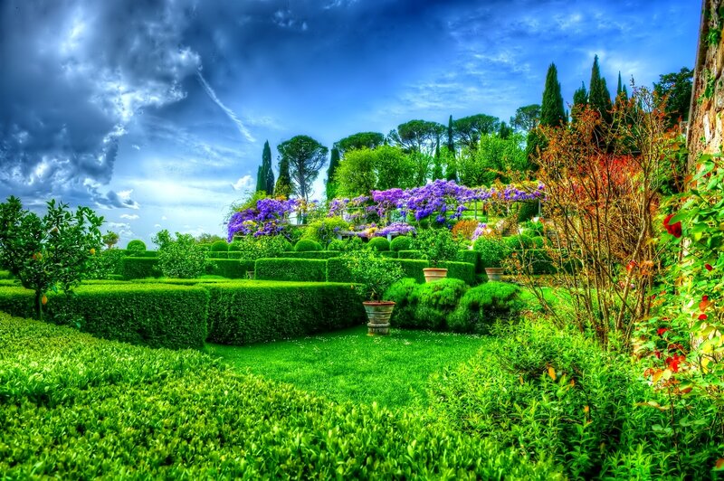 Formal Garden with Hedges — Green, Dramatic