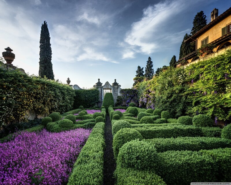 Formal Garden with Hedges — Green, Serene, Afternoon