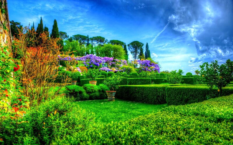 Formal Garden with Hedges — Green