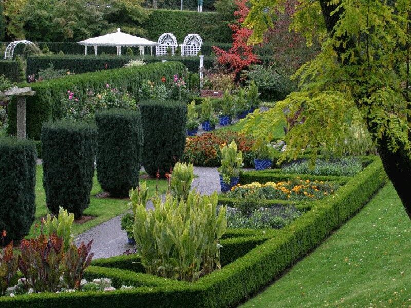 Formal Garden with Hedges