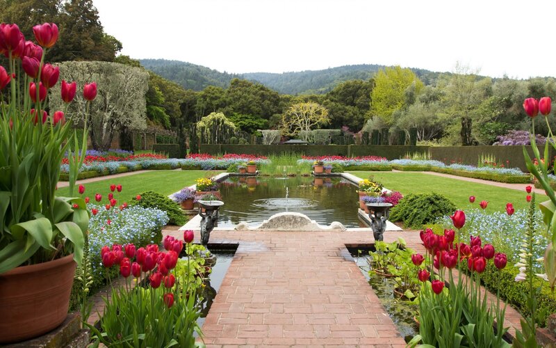 Formal Garden with Pond — Green, Serene
