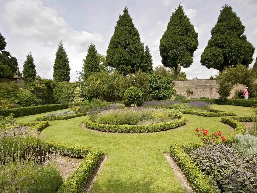 formal garden with topiary and trees
