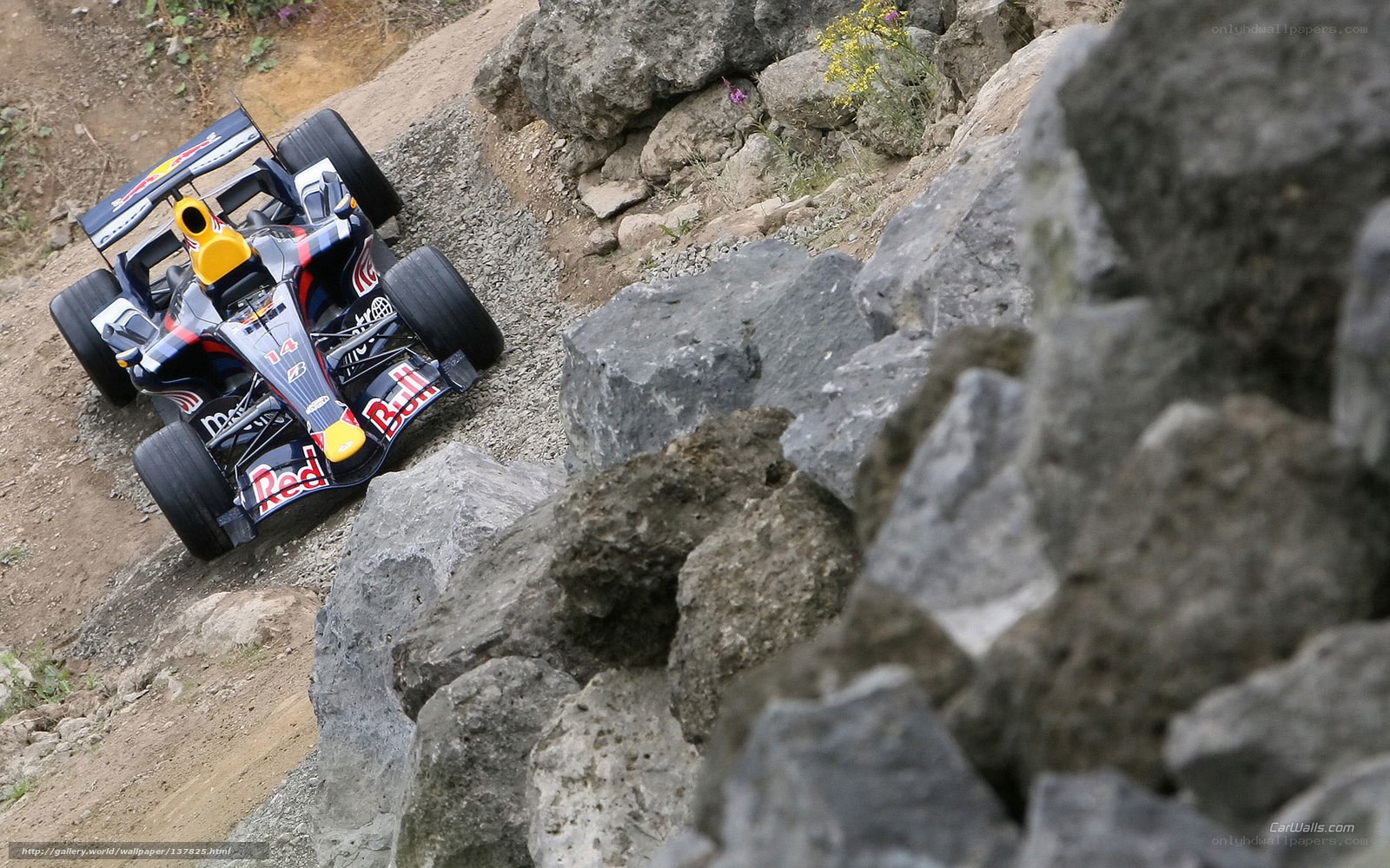 Formula 1 car on rocky terrain