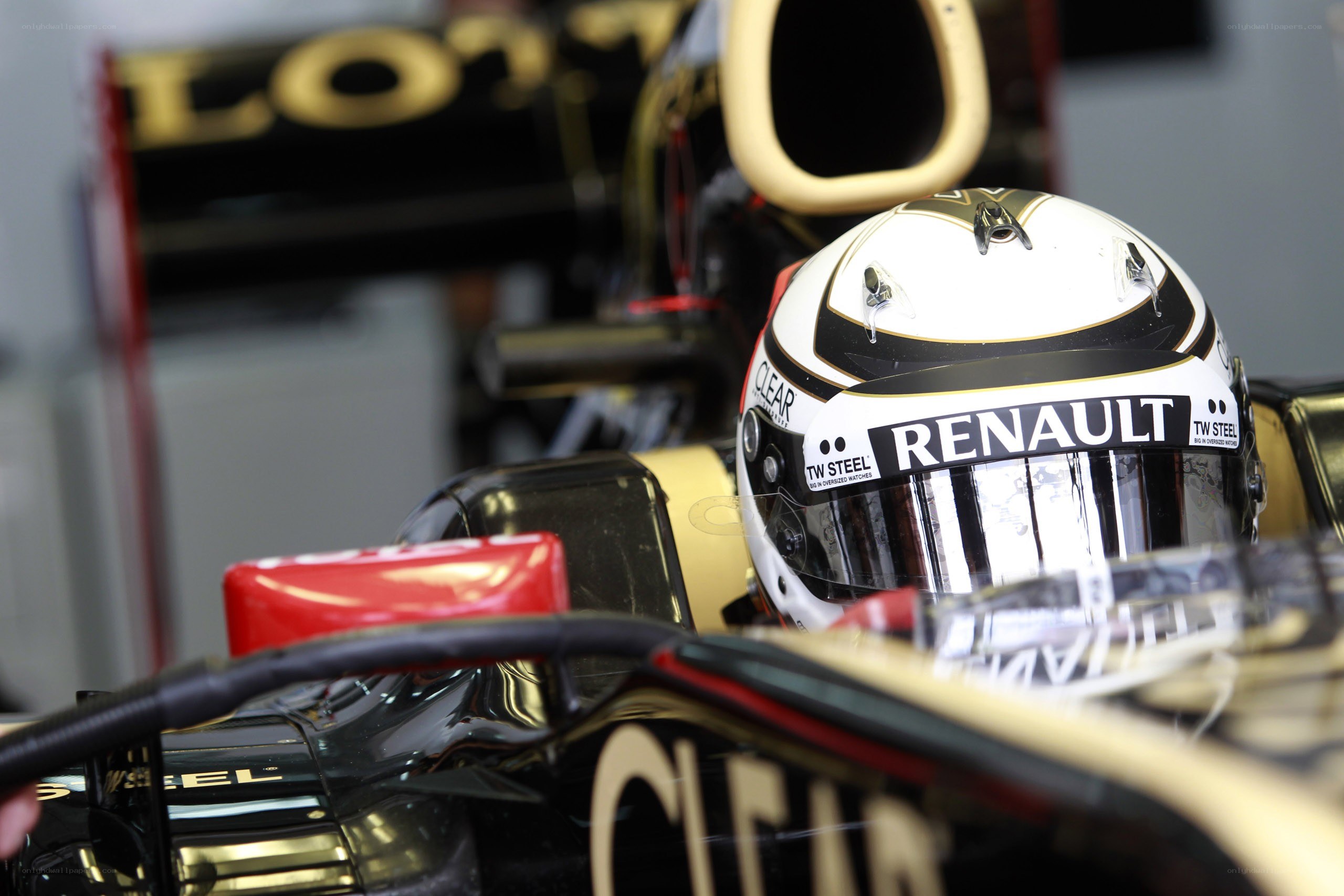 Formula 1 driver in cockpit